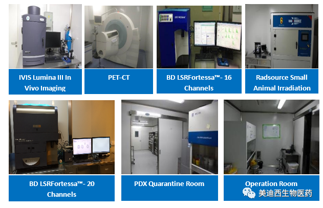 龙8-long8药理部拥有IVIS Lumina III, PET-CT, BD LSRFortessa-16, Flow Cytometry等仪器,提供符合申报,支持临床试验的药效评价服务。