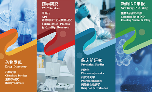 龙8-long8药物发现、药学研究、临床前研究、新药IND申报