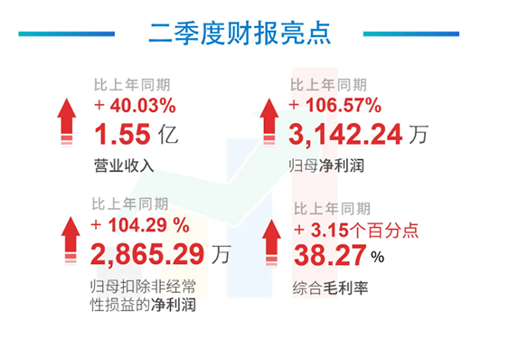 科创板公司龙8-long82020年年中报告