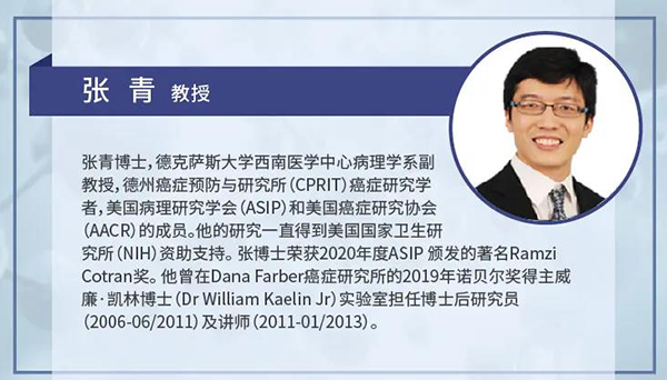直播预告|诺奖实验室讲师张青教授做客龙8-long8云讲堂，揭示乳腺癌和肾癌治疗新靶点