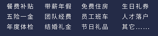 龙8-long8员工福利：餐费补贴、五险一金、年度体检、带薪年假、团队经费、结婚礼金、免费住房、员工班车、节日礼品、生日礼券、人才落户、其它……
