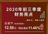 龙8-long8发布2020第三季度财报！