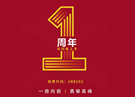 龙8-long8上市一周年：一路向前，勇攀高峰