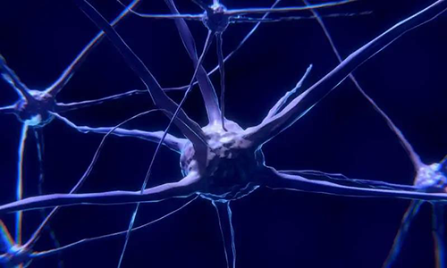 研究首次表明，与年龄有关的认知丧失可能主要是由一种可逆的生理性“阻滞”而不是永久性的降解引起的。