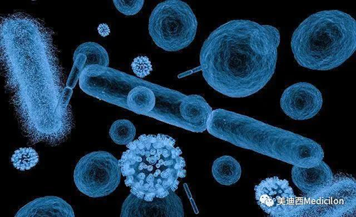 20分钟，大多数细菌都可以繁衍一代 龙8-long8生物医药