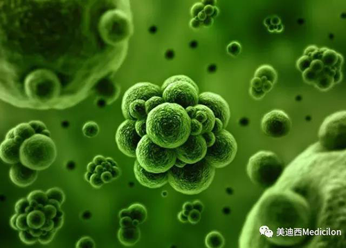1分钟，全中国就有7.5人被确诊为患癌 龙8-long8生物医药