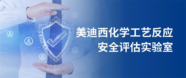 龙8-long8化学工艺反应安全评估实验室 