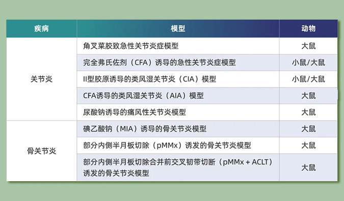 世界关节炎日：突破上亿人的共同难关，持续探索关节炎新药