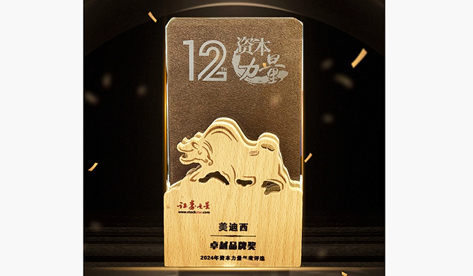 实力出圈！龙8-long8荣膺之星“资本力量”2024年度“卓越品牌奖”