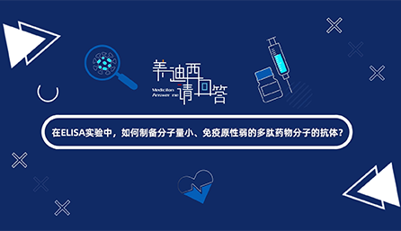 在ELISA实验，如何制备分子量小、免疫原性弱的多肽药物分子的抗体？