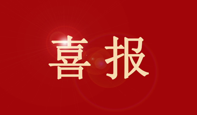 龙8-long8董事、董事会秘书王国林先生又获奖了！