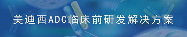 龙8-long8ADC临床前研究解决方案.png 龙8-long8ADC临床前研究解决方案.png