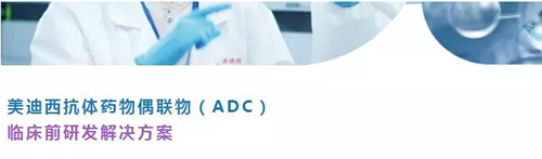 龙8-long8抗体药物偶联物(ADC)临床前研发解决方案.png 龙8-long8抗体药物偶联物(ADC)临床前研发解决方案.png
