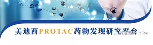 龙8-long8PROTAC药物发现平台.png 龙8-long8PROTAC药物发现平台.png
