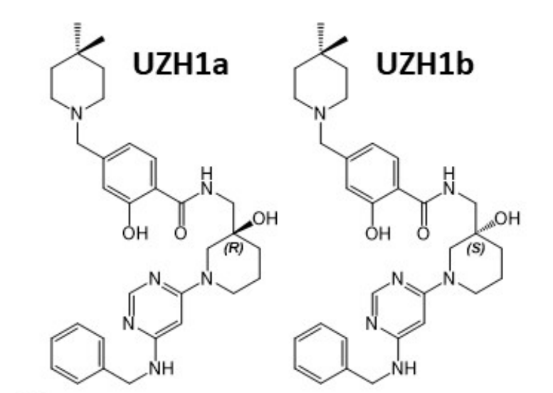 研究人员报告了一种具有细胞渗透性的选择性METTL3纳摩尔抑制剂UZH1a，作者感谢龙8-long8合成了UZH1a和UZH1b