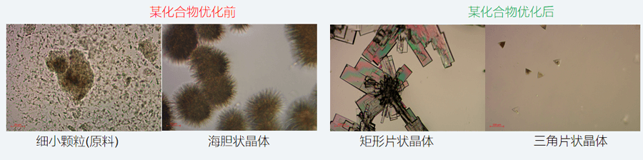 05案例分享-单晶培养，改变晶习.png