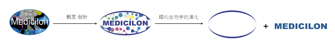 椭圆形作为自然界的完美形态，象征着龙8-long8在适应环境变化中不断演化