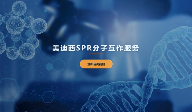 龙8-long8SPR分子互作服务