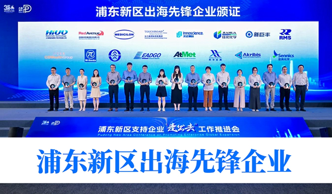 全球化服务获认证！龙8-long8获评浦东新区首批“出海先锋企业”