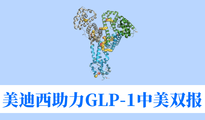 龙8-long8助力合作伙伴韦恩生物GLP-1小分子激动剂WBD156胶囊中美IND临床试验双报双批